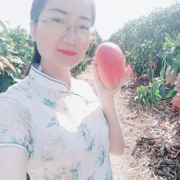 海南贵妃芒芒果红金龙热带应季新鲜水果现摘礼盒非小台金煌芒