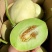 【玉菇】玉菇甜瓜大量上市，货源充足，量大从优，全国发货