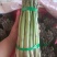 刚进入采摘期的芦笋，欢迎新老客户订货