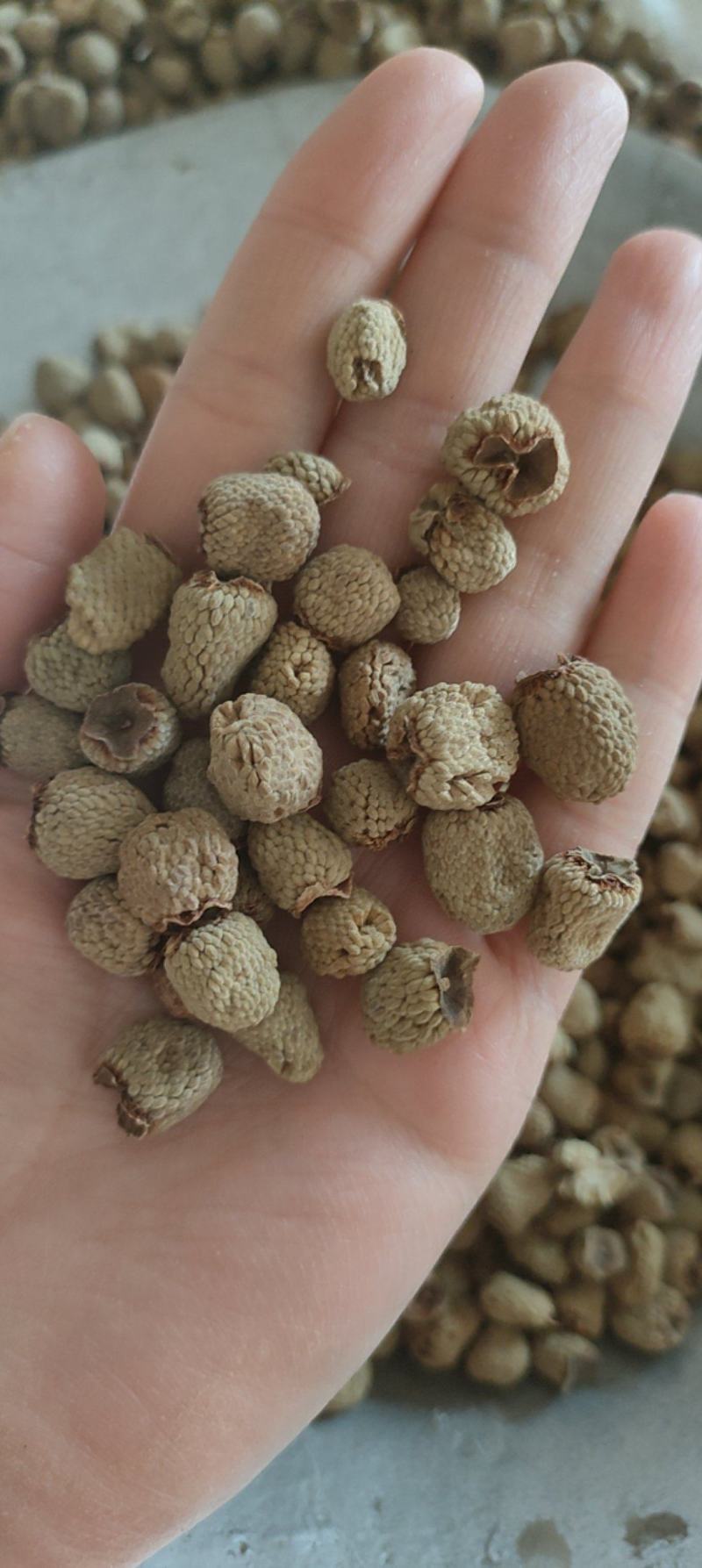《热销》覆盆子（祥泰药材栈）产地大货中药材批发零售