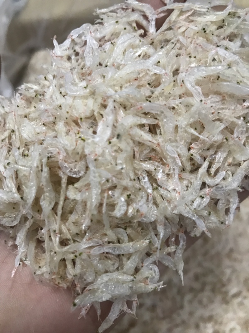 虾皮虾干淡干海虾皮9成5干有量批发