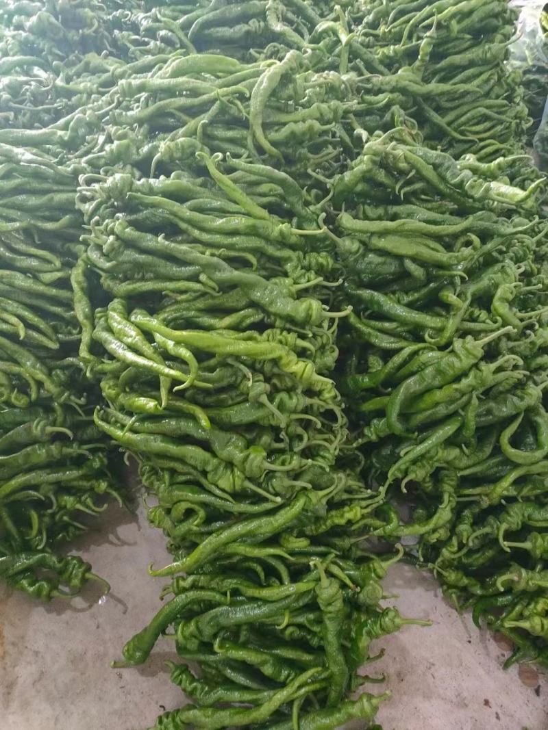 螺丝椒