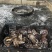 福建漳州漳浦县鲍鱼活冻鲍鱼单冻鲍鱼小鲍鱼量大价优可电话