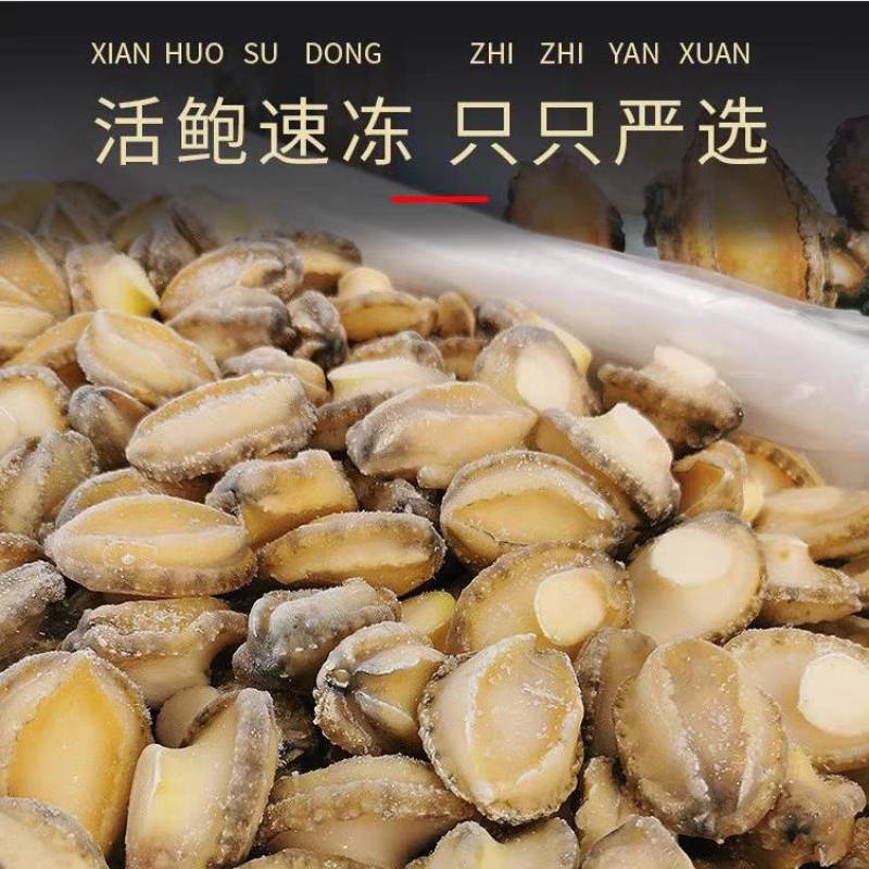 福建漳州漳浦县鲍鱼活冻鲍鱼单冻鲍鱼小鲍鱼量大价优可电话