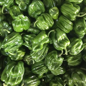 麻辣皱皮圆椒