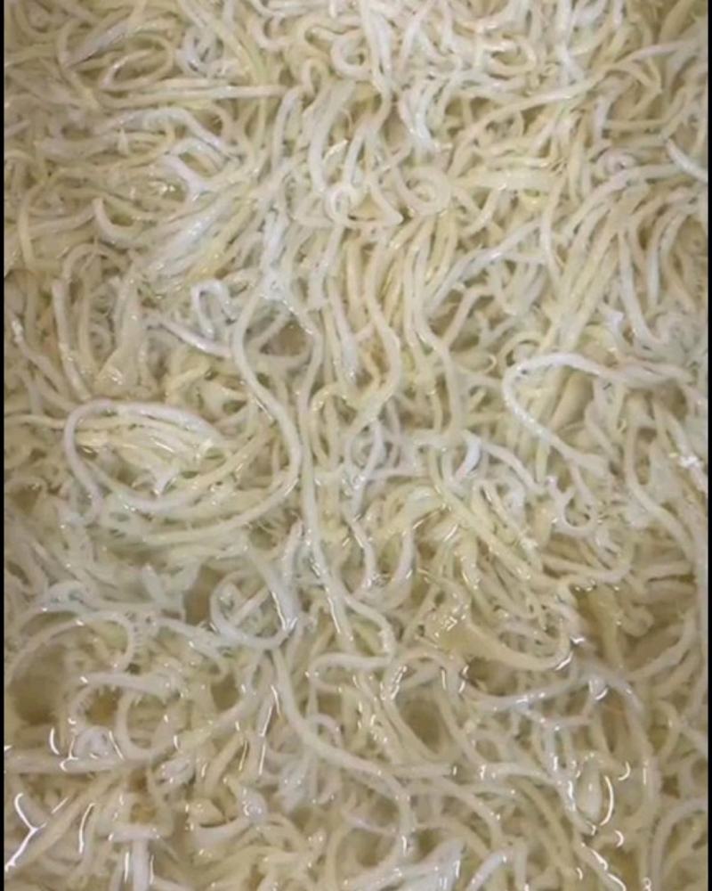 毛肚底板丝净底板梗子黑色白色整块都有商超酒用厂家接单合作