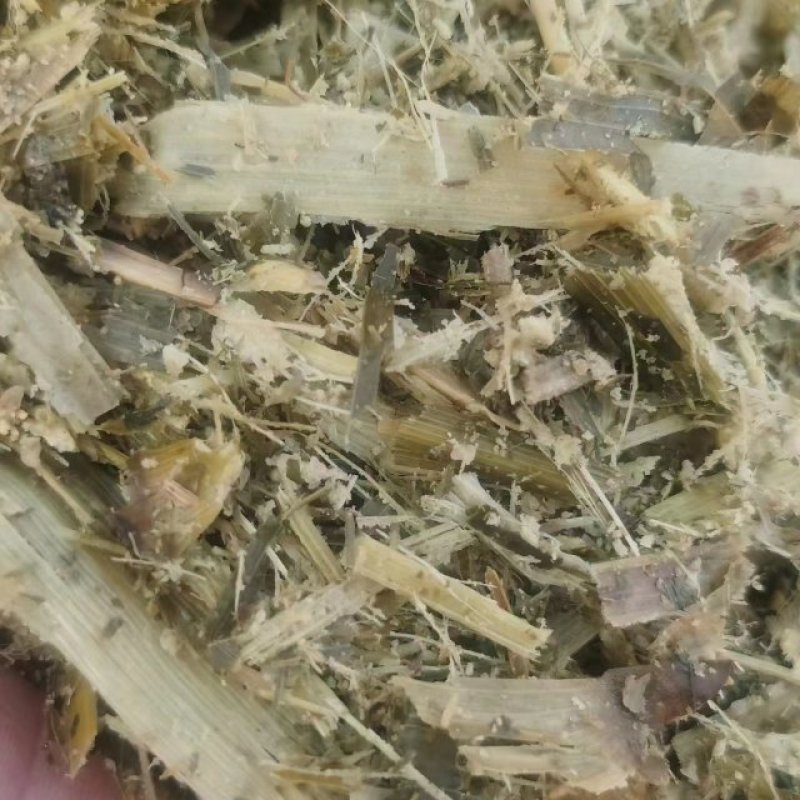 黄储窖散装大量现货
