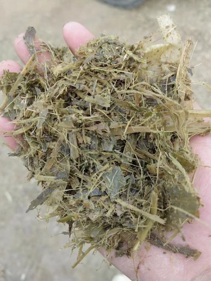 黄储窖散装大量现货
