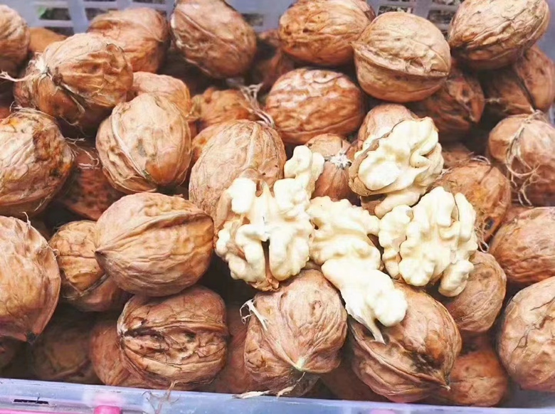 青皮核桃特写