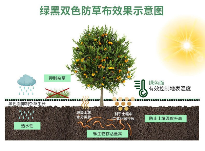 双色防草布绿黑防草布果园除草布盖草布果树防草保湿布抑草布