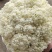 【实力】有机花菜山东菜花个头均匀产地直发一手货源交通便利