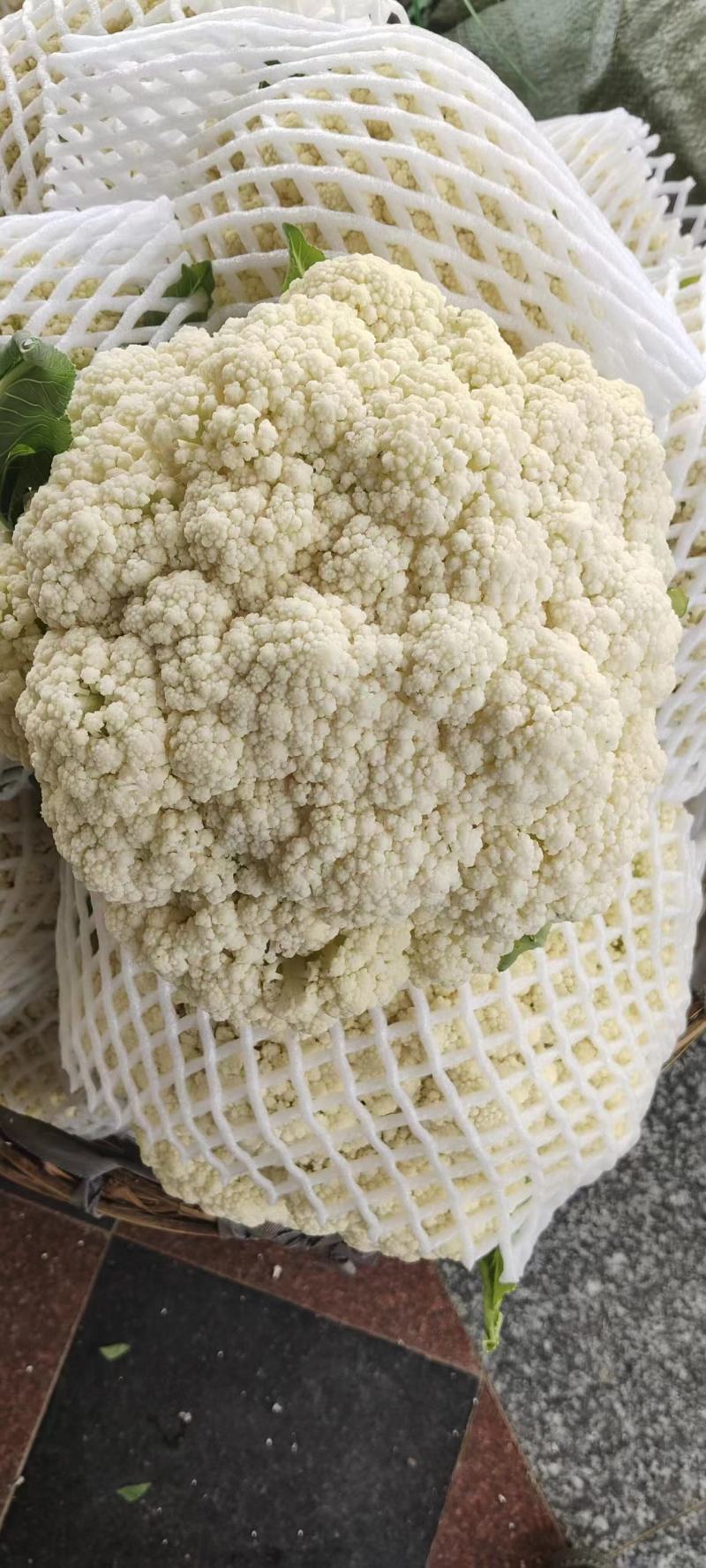 【实力】有机花菜山东菜花个头均匀产地直发一手货源交通便利