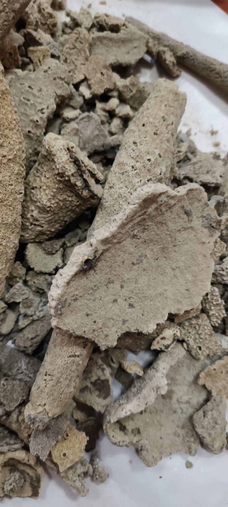 紫霄花包邮干品紫梢花产地直发量大从优冷背药材
