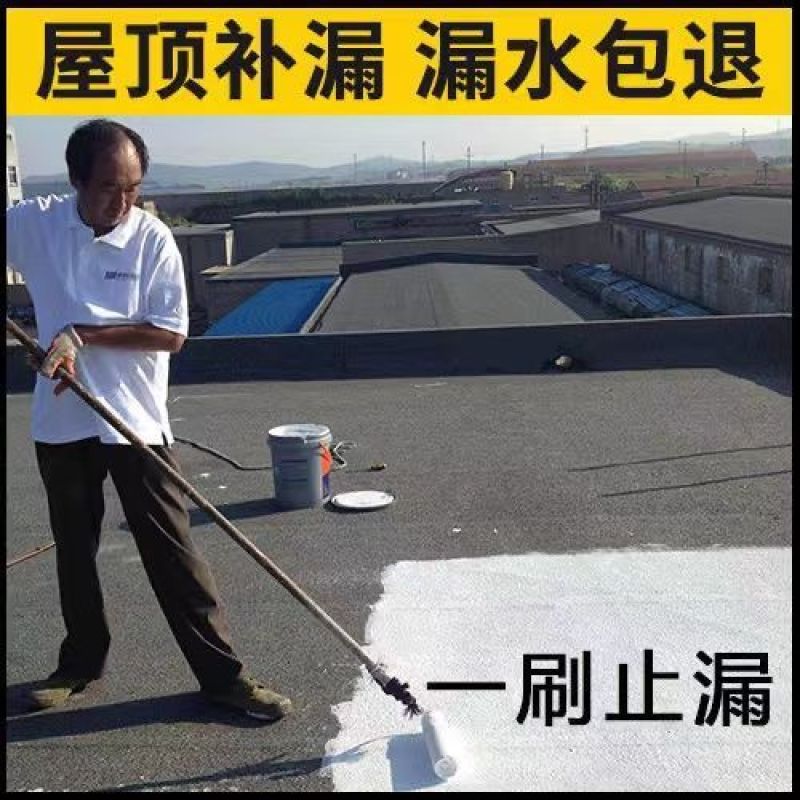 防水补漏屋顶房顶裂缝漏水防水材料楼顶防水涂料胶防水胶聚
