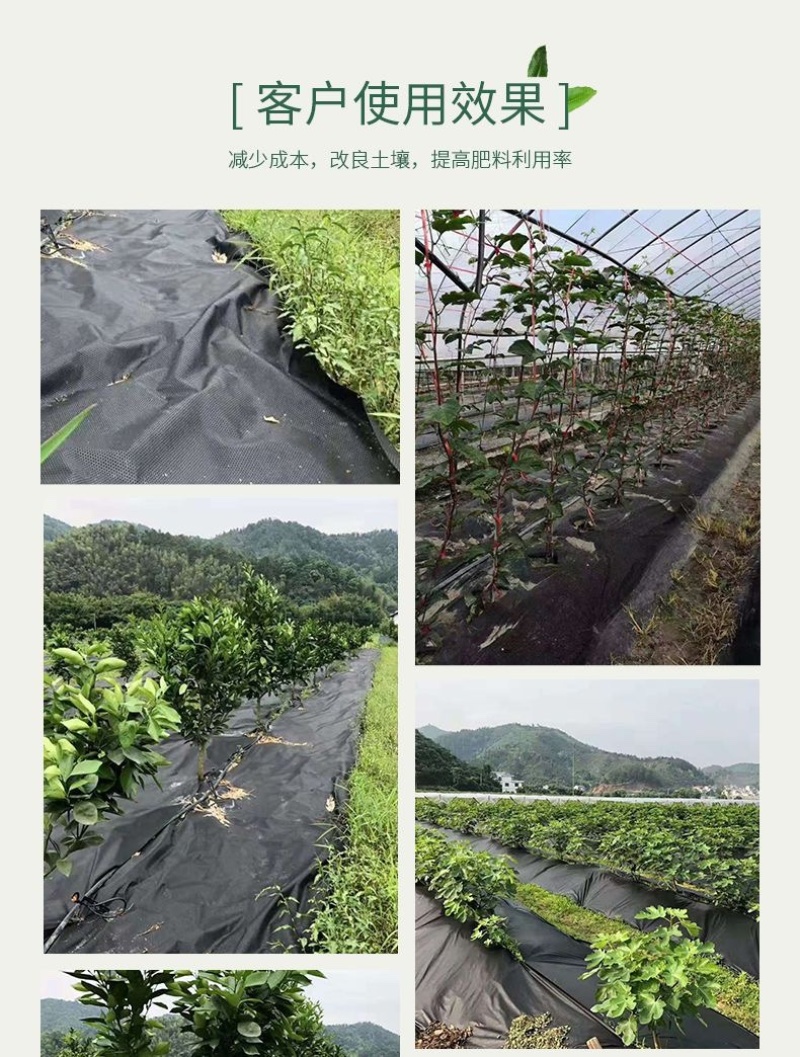 果园柑橘透气透水保湿可降解防草布除草布果树防草农用地膜