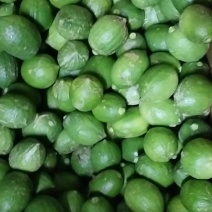 广东次一级果香水柠檬现货新鲜直发量大从优