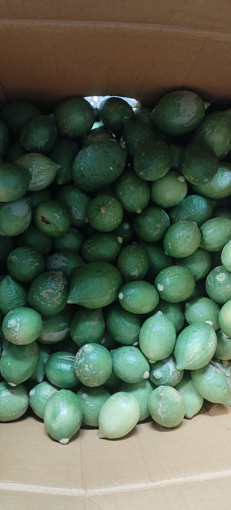 广东次一级果香水柠檬现货新鲜直发量大从优