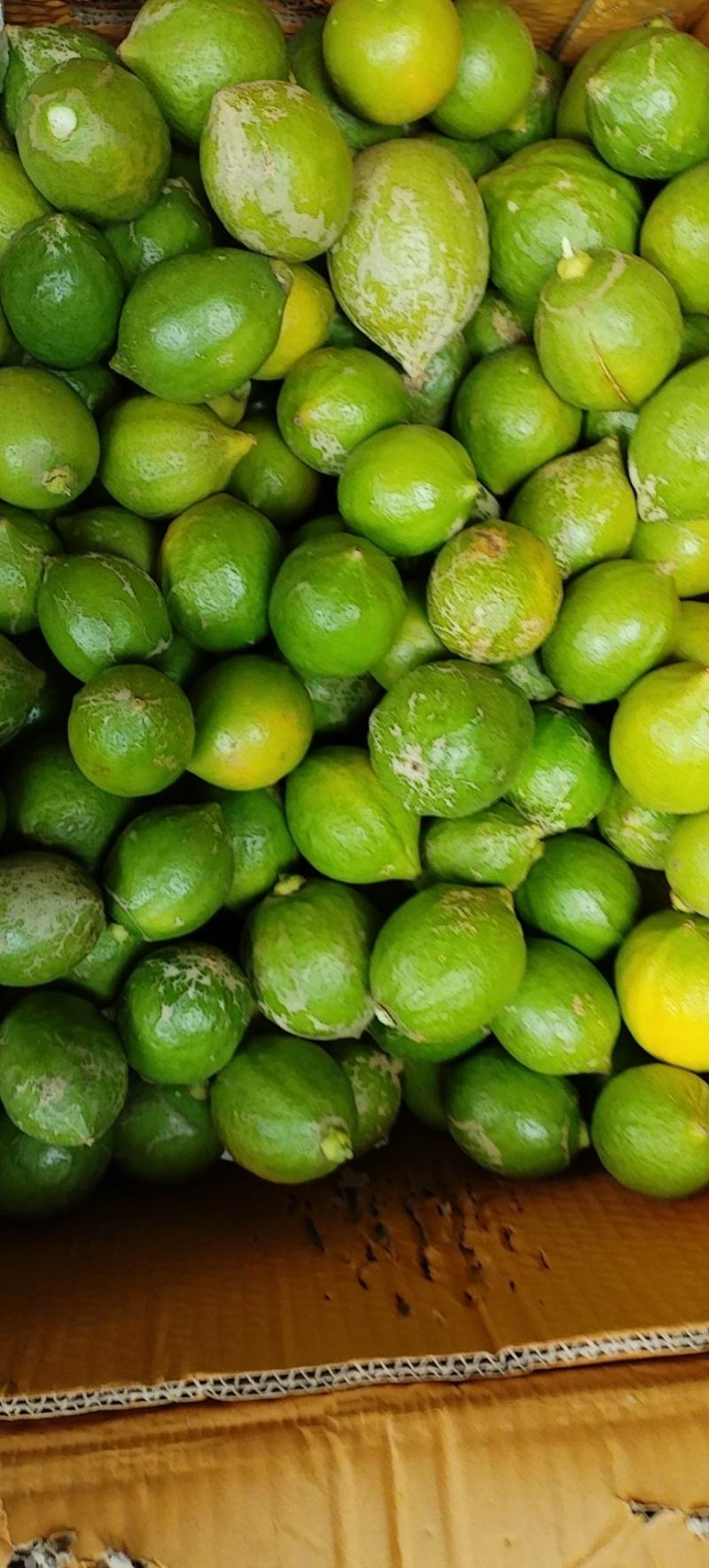 广东次一级果香水柠檬现货新鲜直发量大从优