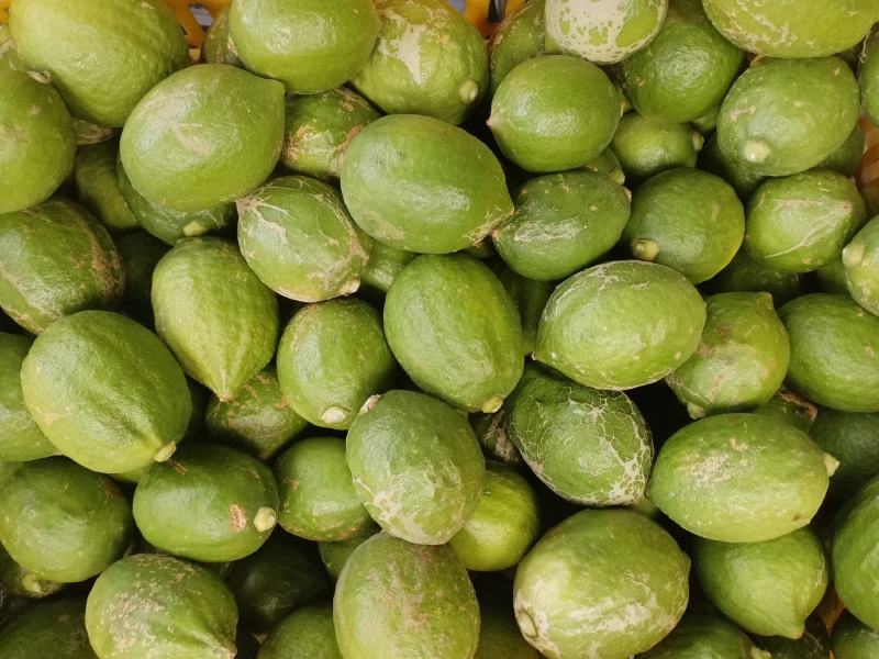 广东次一级果香水柠檬现货新鲜直发量大从优