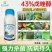 43%戊唑醇白粉病叶斑炭疽病锈病纹枯病赤霉病蔬菜果树农药