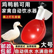 【大号加厚】喂鸡自动饮水器新款鸡鸭大鹅鸽子家禽自动饮水器