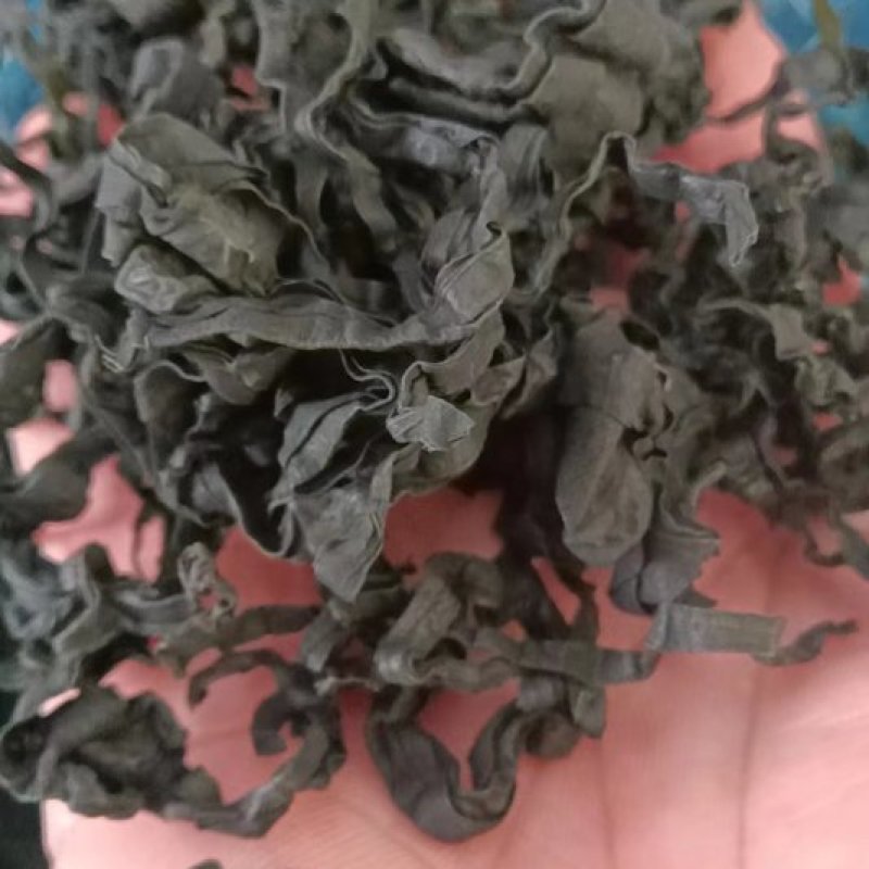 L号出口级别裙带菜无黄叶！很绿！泡发率高！