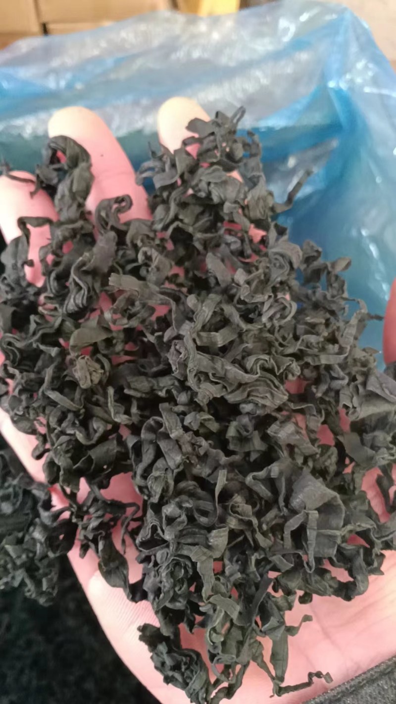 L号出口级别裙带菜无黄叶！很绿！泡发率高！