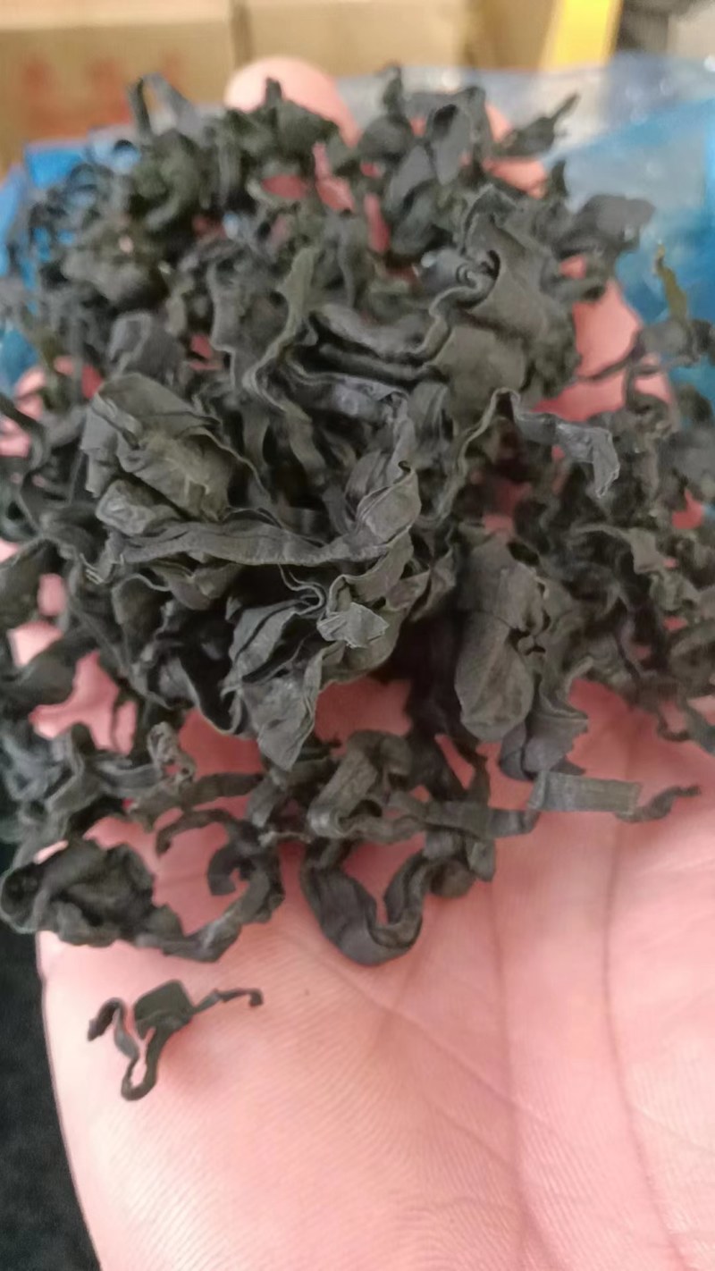 L号出口级别裙带菜无黄叶！很绿！泡发率高！