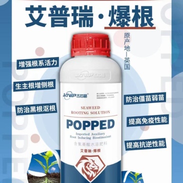 生根专用肥