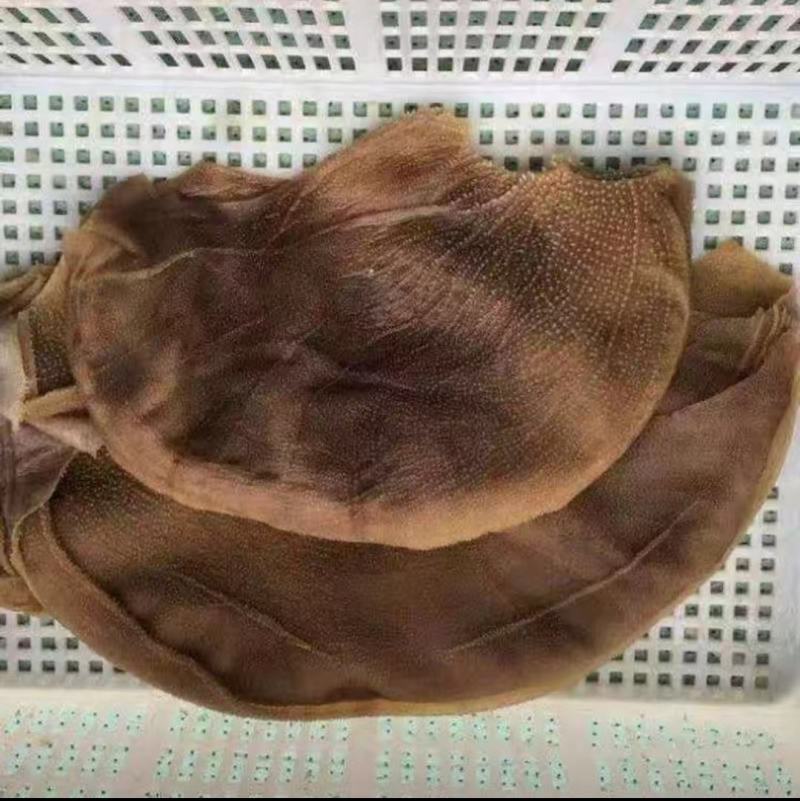 毛肚叶片大叶片小叶片火锅食堂酒店商用上等食材厂家接单欢迎