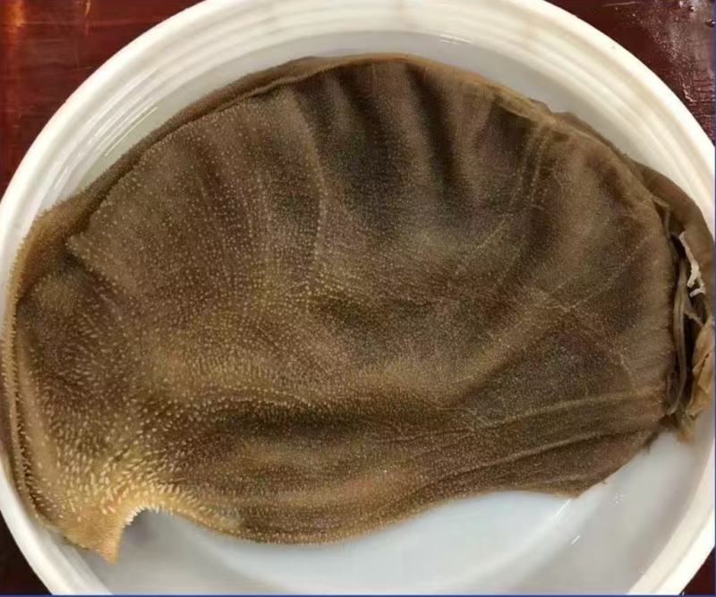 毛肚叶片大叶片小叶片火锅食堂酒店商用上等食材厂家接单欢迎