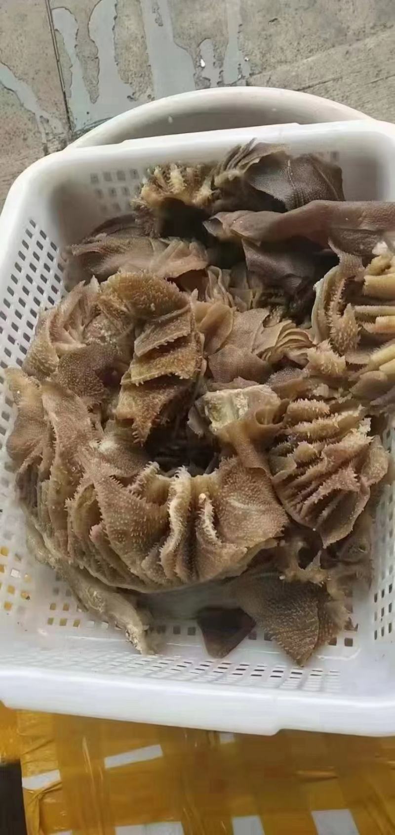 毛肚边角料底板边料边料节节头子数量不多便宜货