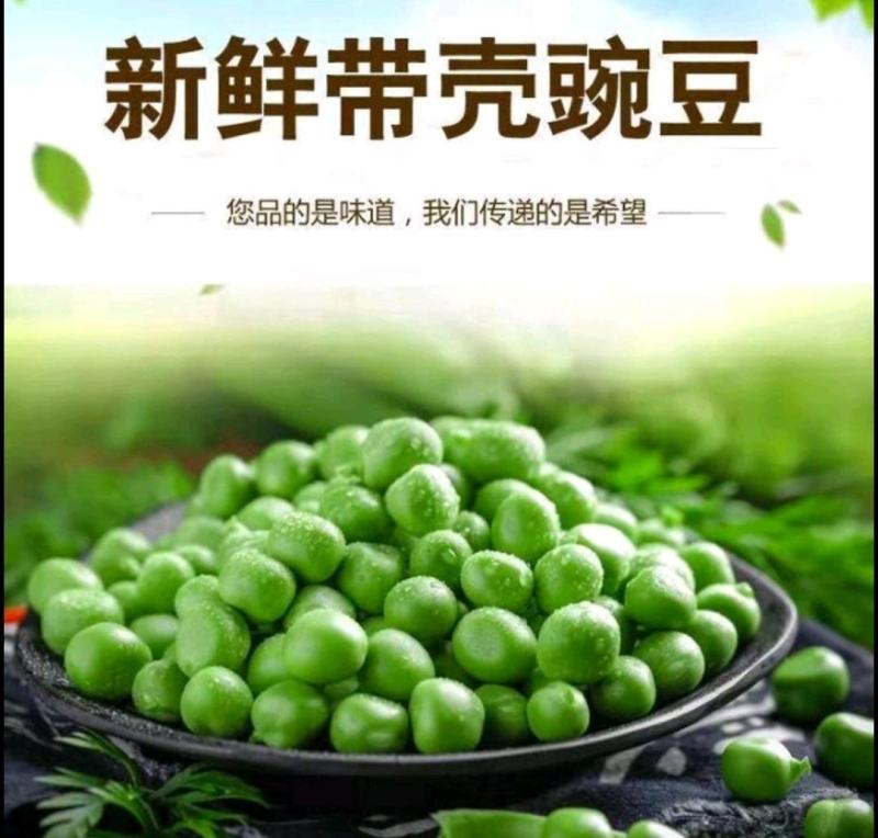 新鲜豌豆荚多多电商青碗豆白老豌豆荚甜嫩豌豆角
