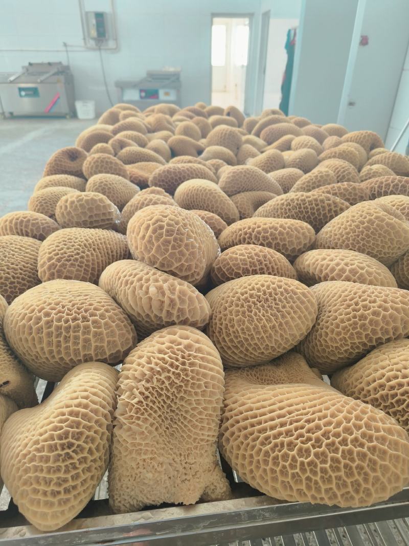 金钱肚，全熟无泡发，冷藏储存3个月包装开袋即食40元/斤