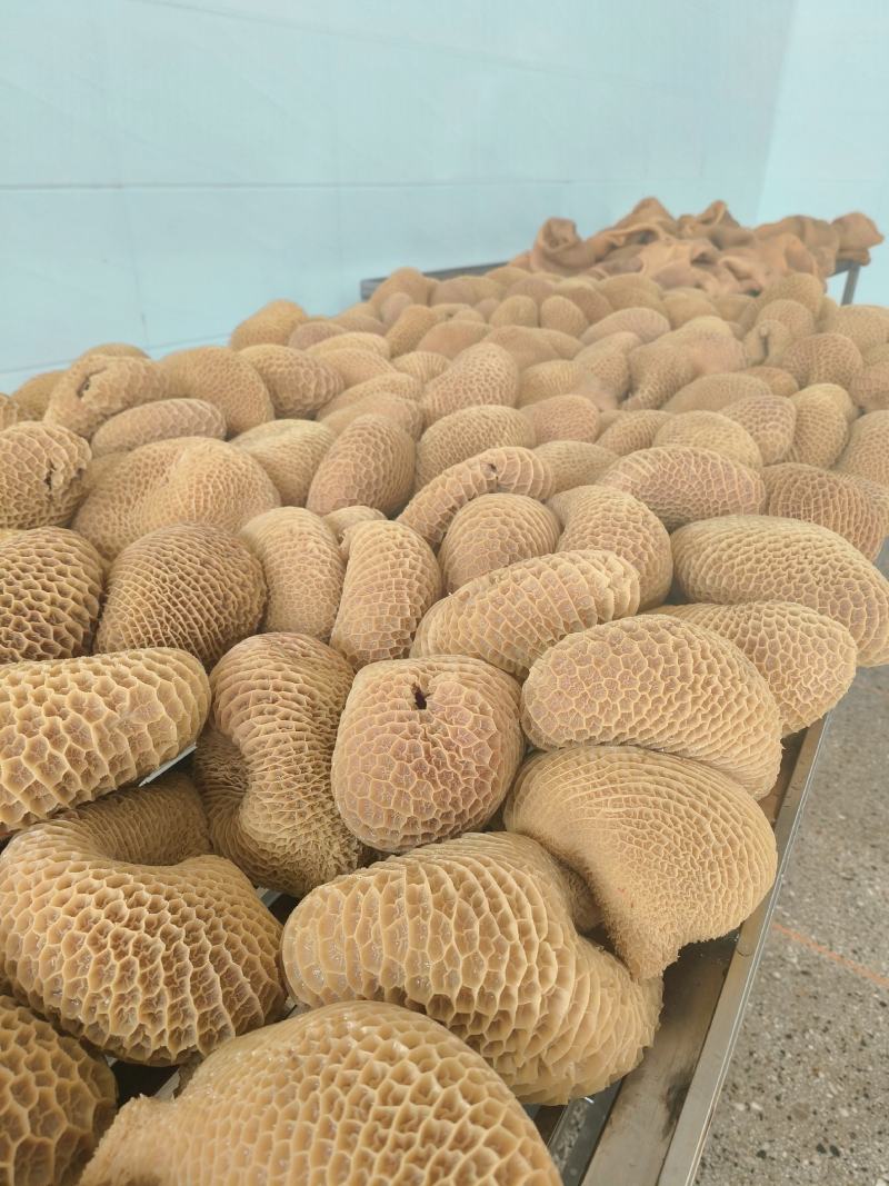 金钱肚，全熟无泡发，冷藏储存3个月包装开袋即食40元/斤