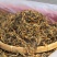 糯香红茶春茶既有浓浓的红茶滋味，又有甘甜细腻的糯米香