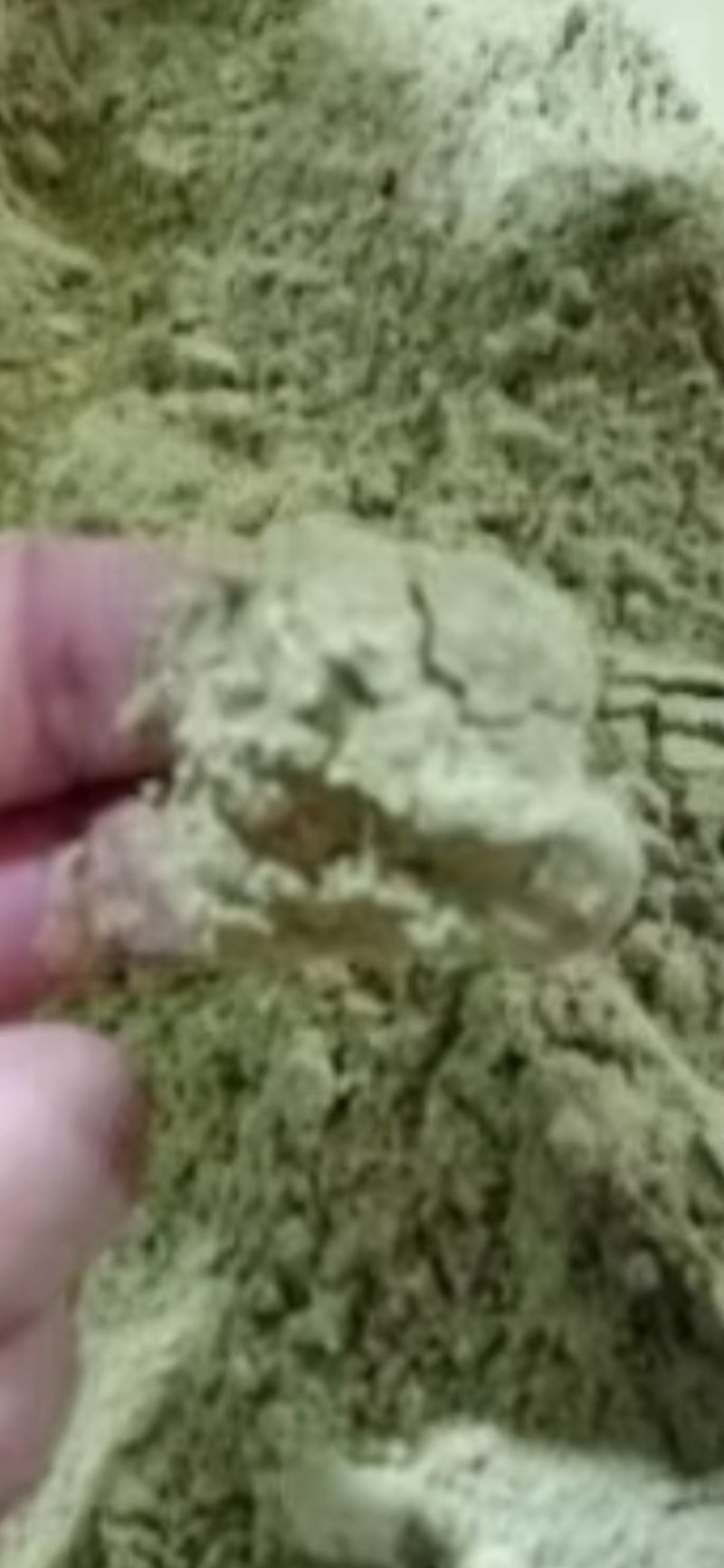 鸭梨花粉代收魏县鸭梨花，上货量大，交通方便
