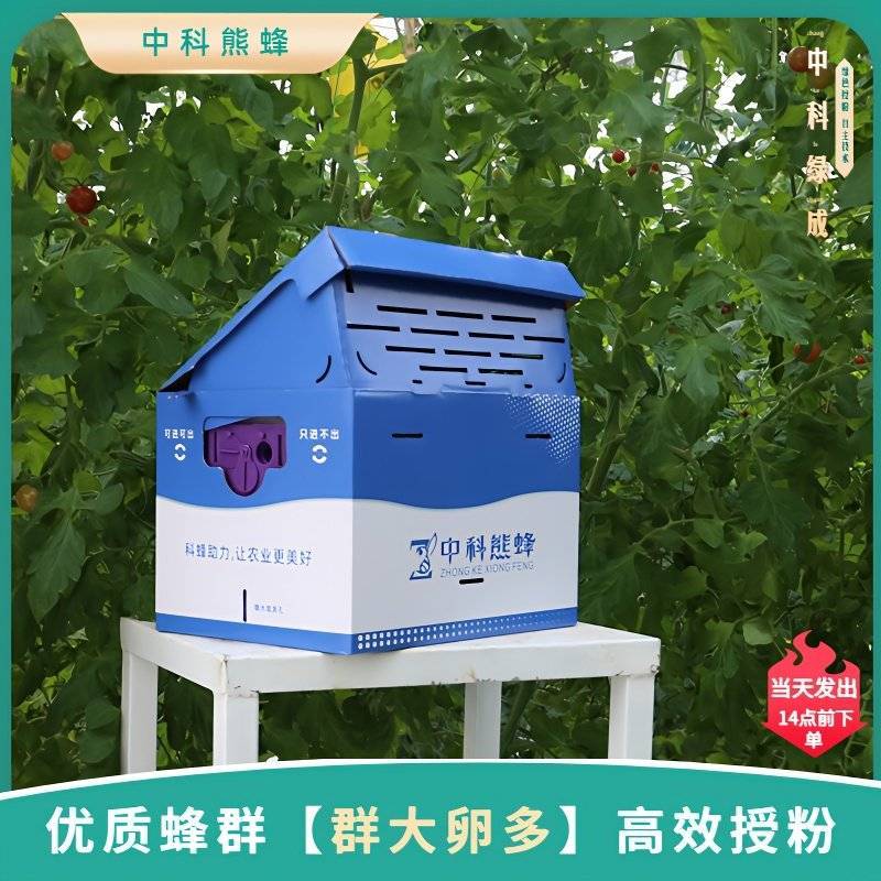 中科熊蜂通用授粉群带王优质授粉熊蜂【厂家直发】