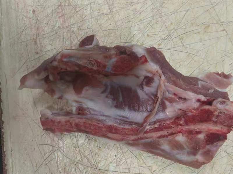 屠宰后新鲜猪肉切面特写