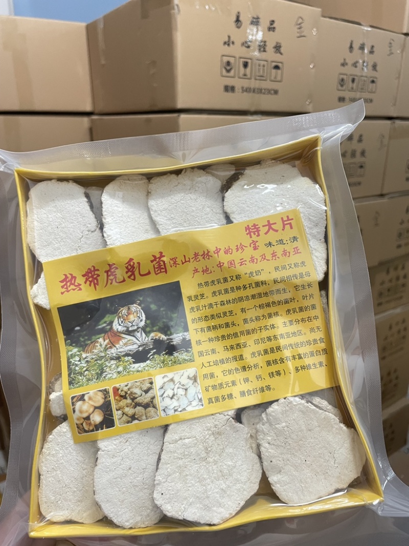 热带虎乳菌深山老林中的珍宝虎乳灵芝半斤装