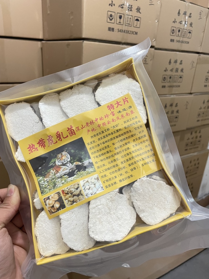 热带虎乳菌深山老林中的珍宝虎乳灵芝半斤装