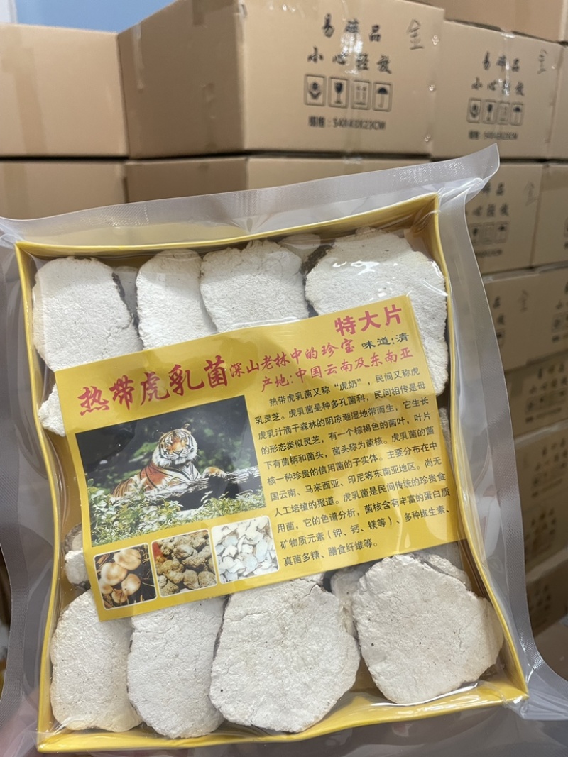 虎乳菌厂家发货品质保证量大价优欢迎咨询下单