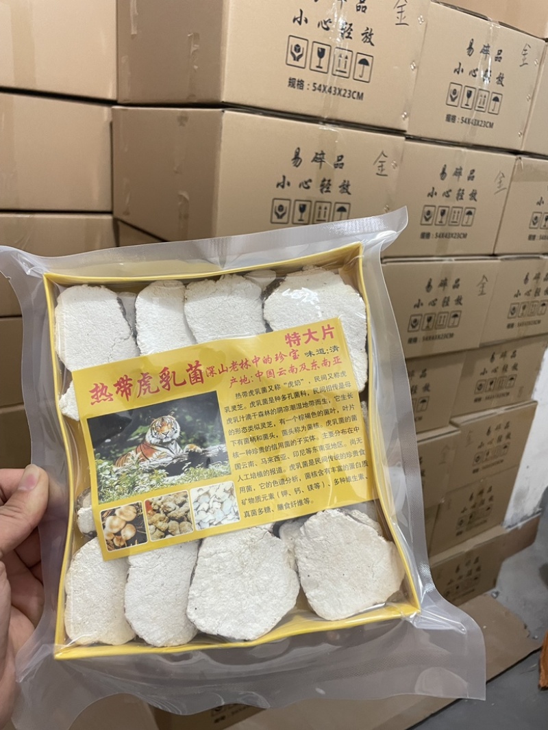 虎乳菌厂家发货品质保证量大价优欢迎咨询下单