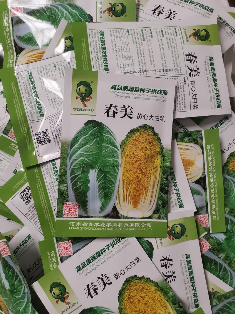 春美早春黄心白菜种子早熟炮弹型高抗病毒病霜霉病