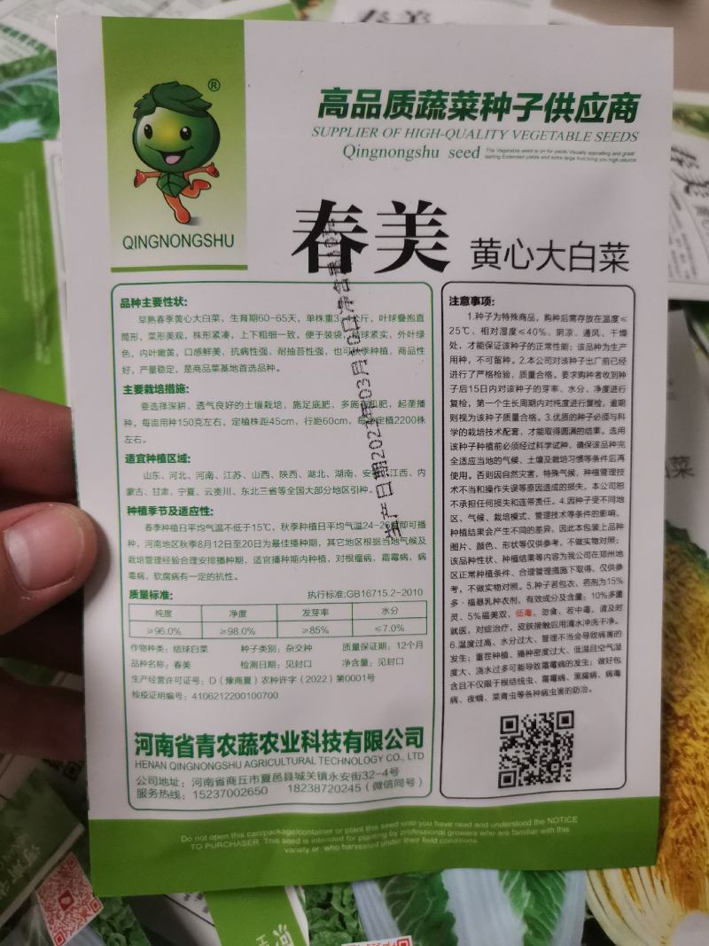 春美早春黄心白菜种子早熟炮弹型高抗病毒病霜霉病