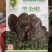 250克装半直大黑圆叶耐寒菠菜种叶片厚实高抗霜霉病品质好