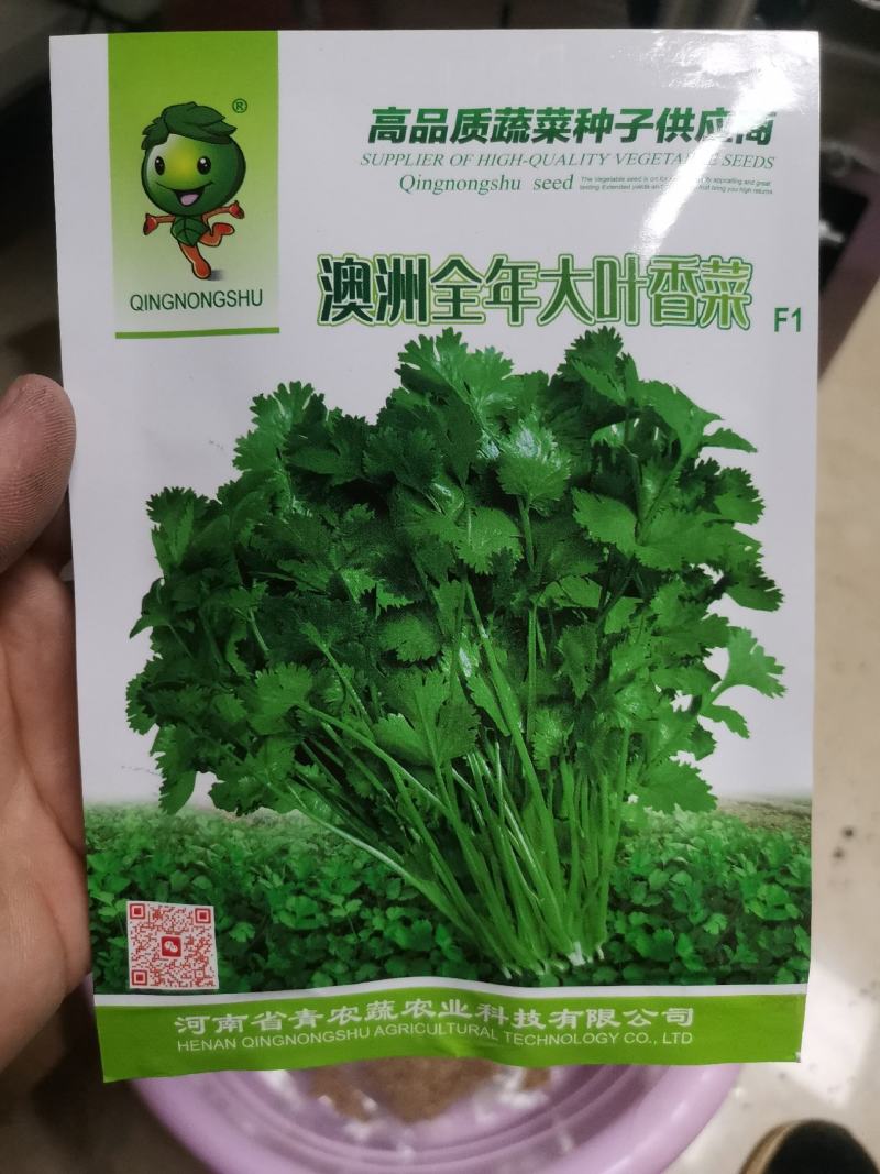 【优质】厂家直销安瑟米法国香菜种子抗病耐抽苔产量高