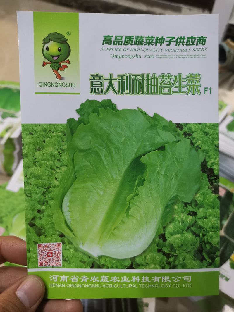 【精选】耐热耐抽薹意大利生菜种子口感爽脆叶片厚实