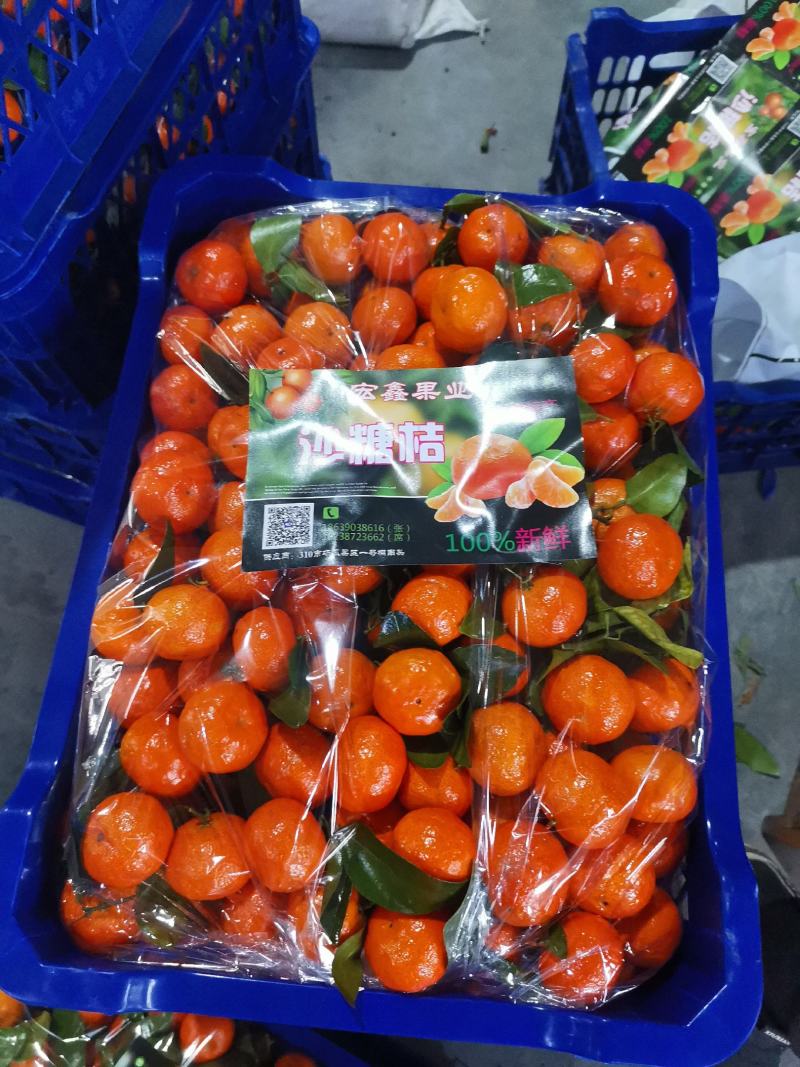 【优选】沃柑品质保证对货发全国欢迎联系
