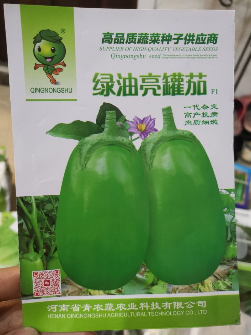 【优质】绿茄子种子法国绿茄子绿茄1号